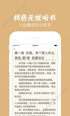 爱游戏网页版登录界面